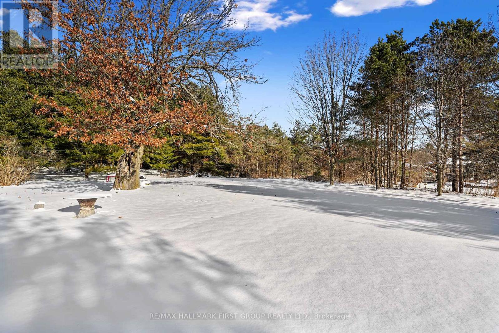 1859 Percy Street, Cramahe, Ontario  K0K 1M0 - Photo 44 - X12589630