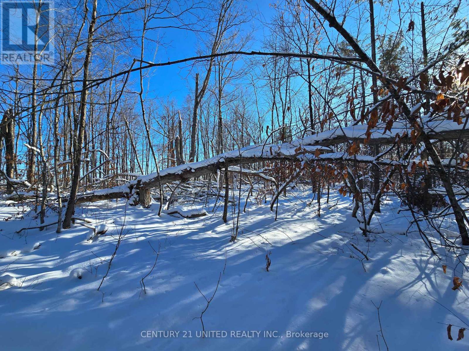 81 Vansickle Trail, Havelock-Belmont-Methuen, Ontario  K0L 1Z0 - Photo 13 - X12612322