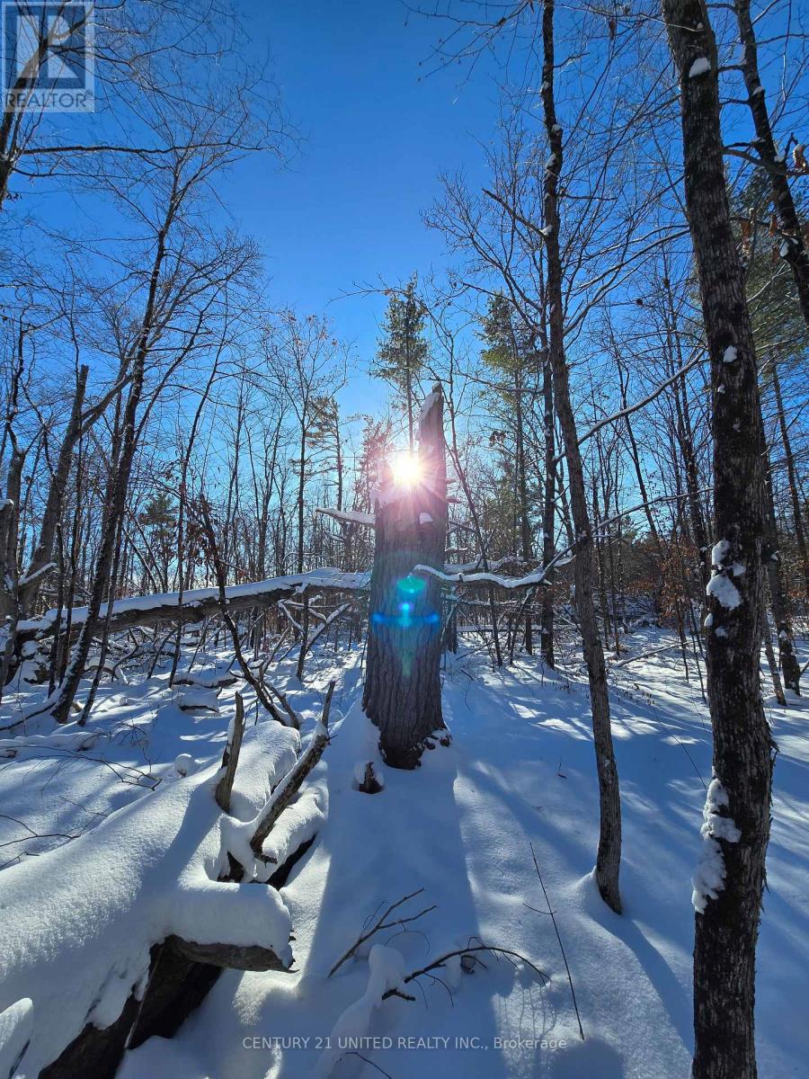 81 Vansickle Trail, Havelock-Belmont-Methuen, Ontario  K0L 1Z0 - Photo 15 - X12612322