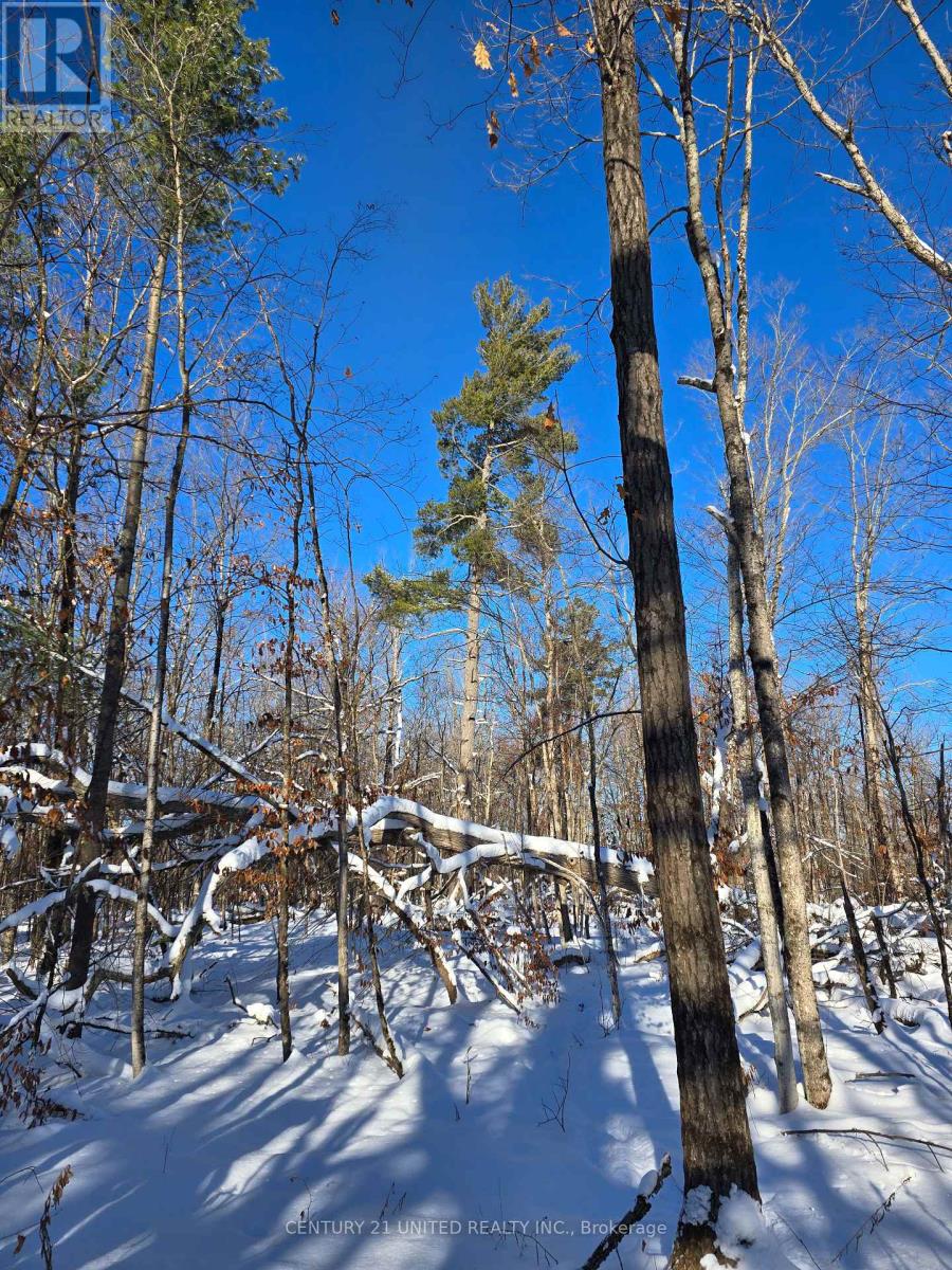 81 Vansickle Trail, Havelock-Belmont-Methuen, Ontario  K0L 1Z0 - Photo 16 - X12612322