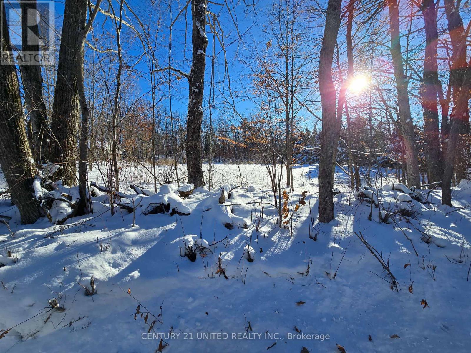 81 Vansickle Trail, Havelock-Belmont-Methuen, Ontario  K0L 1Z0 - Photo 4 - X12612322