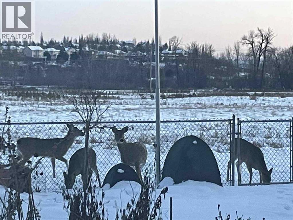 2427 Deer Side Drive, Calgary, Alberta  T2J 5L7 - Photo 50 - A2271544