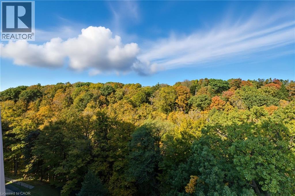 1968 Main Street W Unit# 1103, Hamilton, Ontario  L8S 1J7 - Photo 29 - 40779102