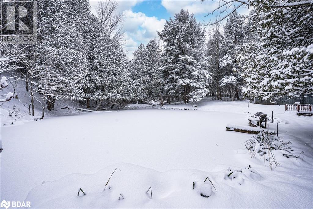 8275 County Rd 9, Creemore, Ontario  L0M 1G0 - Photo 12 - 40793099