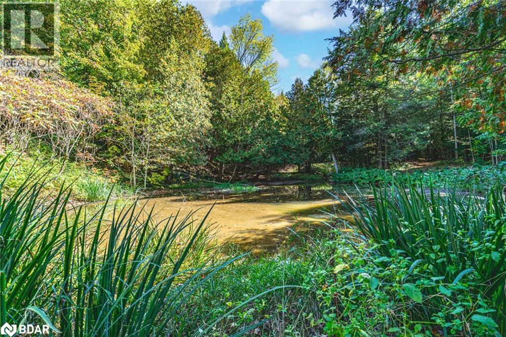 8275 County Rd 9, Creemore, Ontario  L0M 1G0 - Photo 22 - 40793099