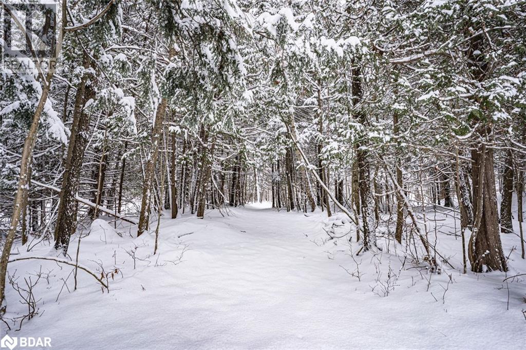 8275 County Rd 9, Creemore, Ontario  L0M 1G0 - Photo 26 - 40793099