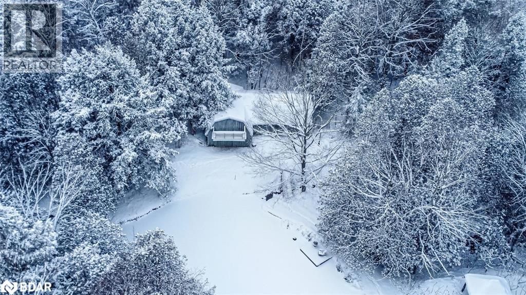 8275 County Rd 9, Creemore, Ontario  L0M 1G0 - Photo 27 - 40793099