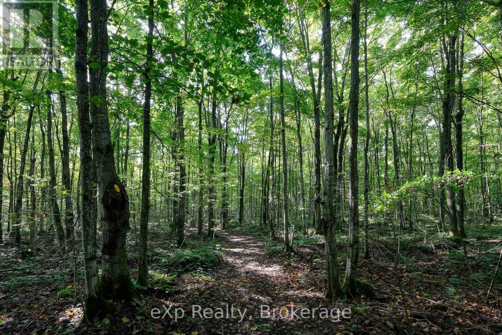 442625 Concession Road 21, Georgian Bluffs, Ontario N0H 2T0 - Photo 35 - X12432768