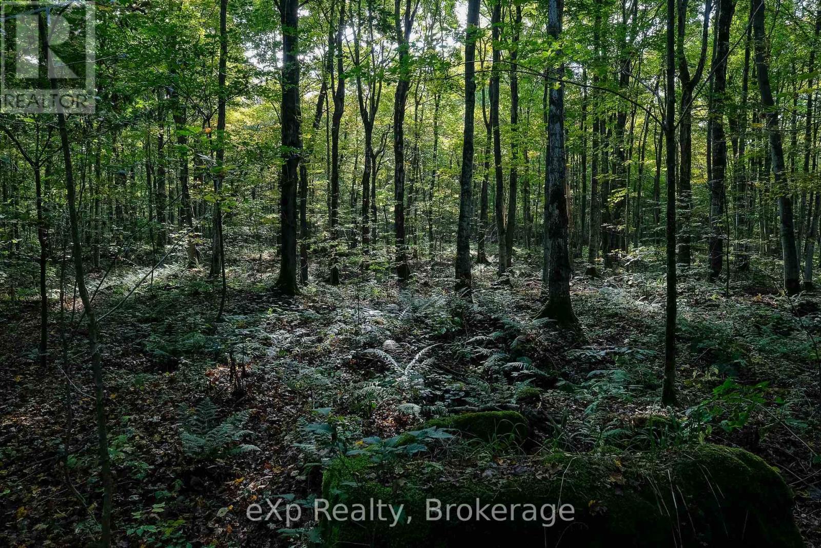 442625 Concession Road 21, Georgian Bluffs, Ontario N0H 2T0 - Photo 37 - X12432768