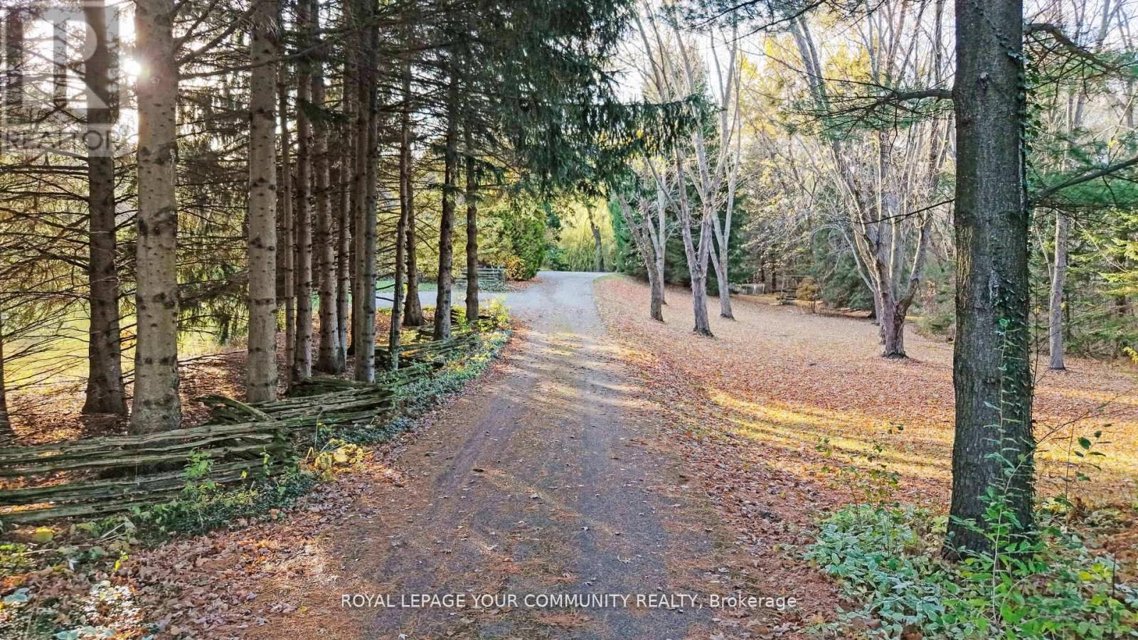 1538 Concession 4 Road, Adjala-Tosorontio (Loretto), Ontario  L0G 1L0 - Photo 10 - N12612654