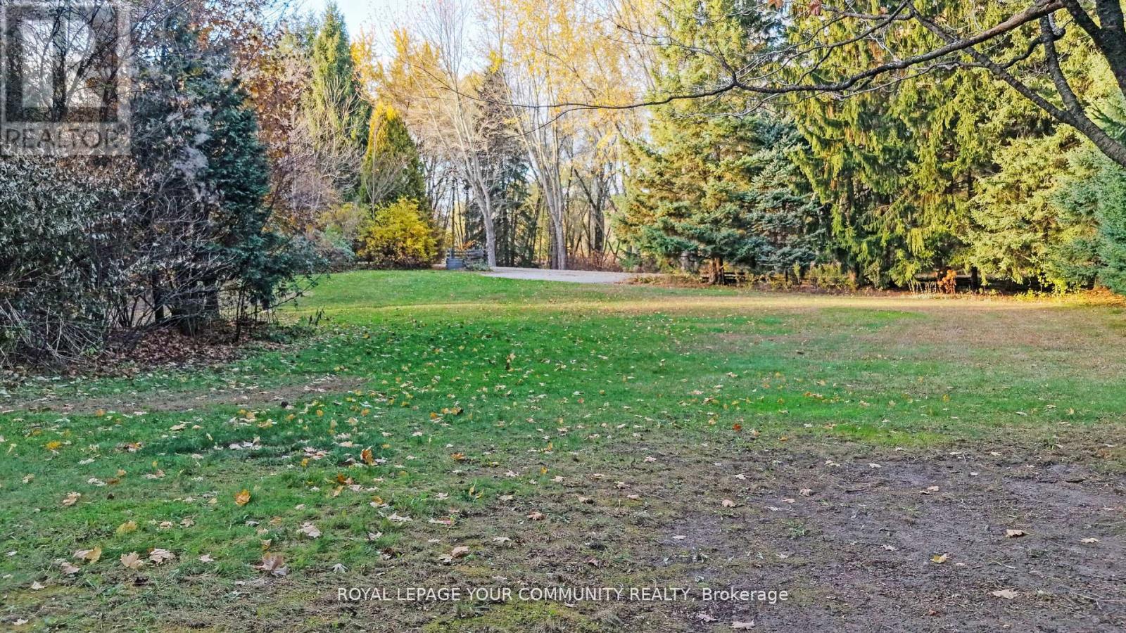 1538 Concession 4 Road, Adjala-Tosorontio (Loretto), Ontario  L0G 1L0 - Photo 11 - N12612654