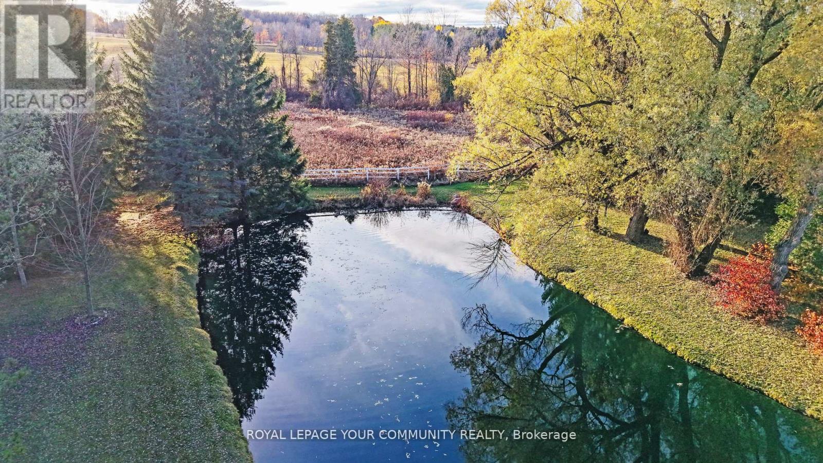 1538 Concession 4 Road, Adjala-Tosorontio (Loretto), Ontario  L0G 1L0 - Photo 5 - N12612654