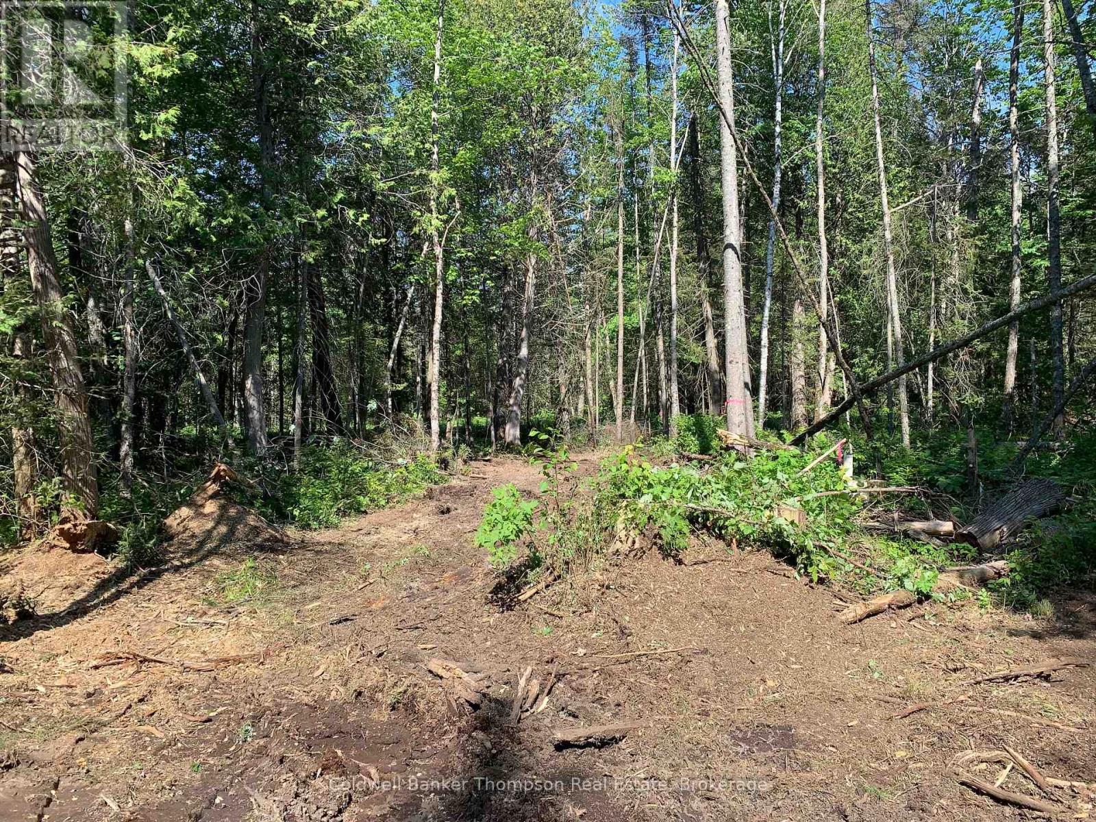 522 Albert Street N, Strong, Ontario P0A 1Z0 - Photo 3 - X12612742