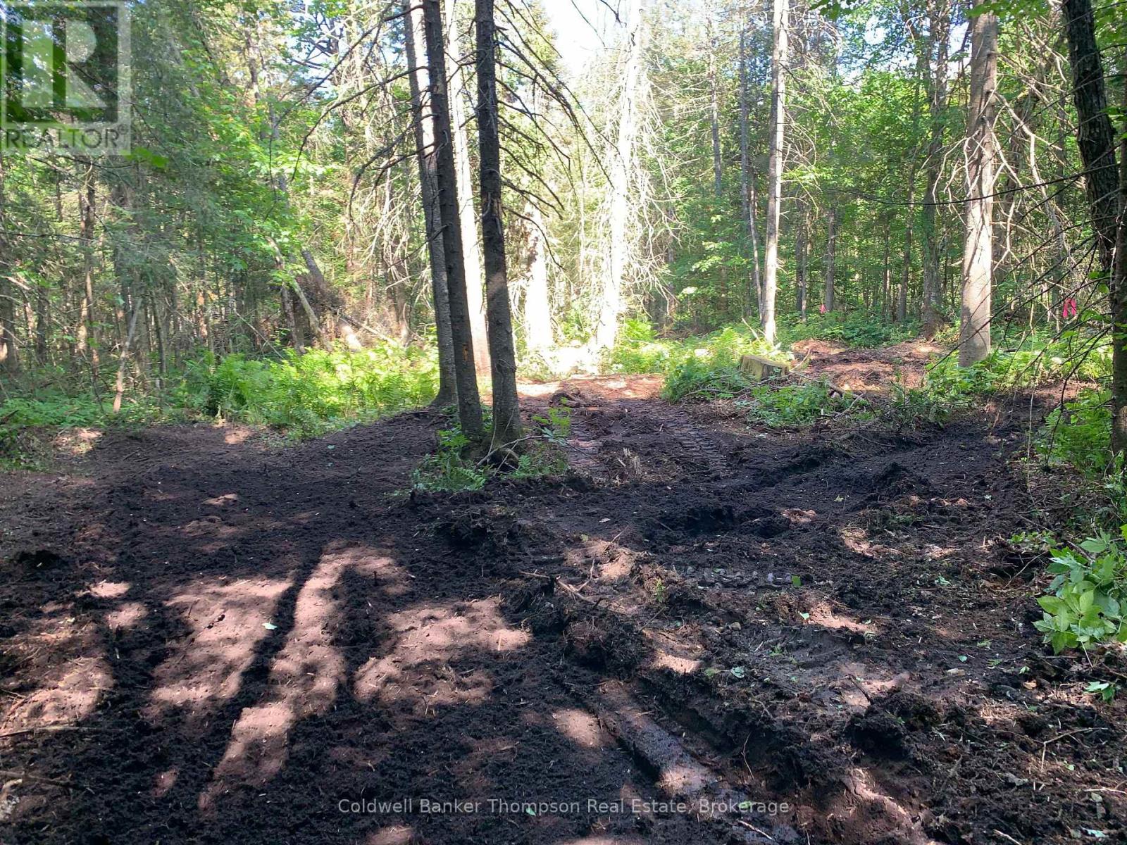 522 Albert Street N, Strong, Ontario P0A 1Z0 - Photo 4 - X12612742