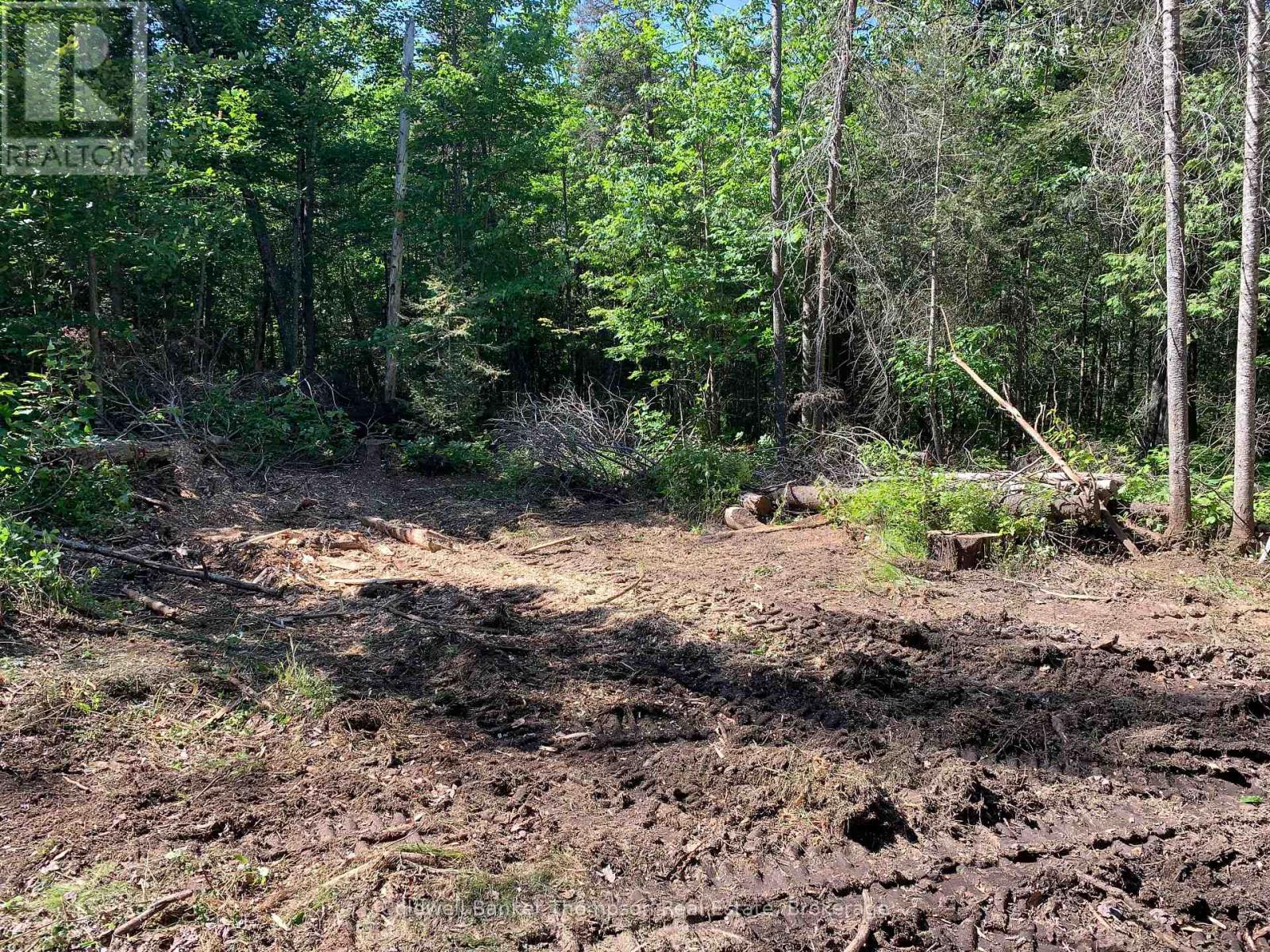 522 Albert Street N, Strong, Ontario P0A 1Z0 - Photo 5 - X12612742