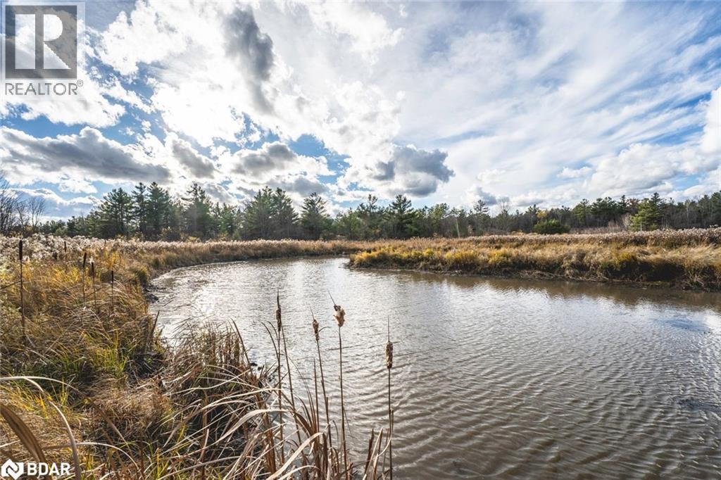 2504 Fairgrounds Road, Ramara, Ontario  L0K 2B0 - Photo 36 - 40784712