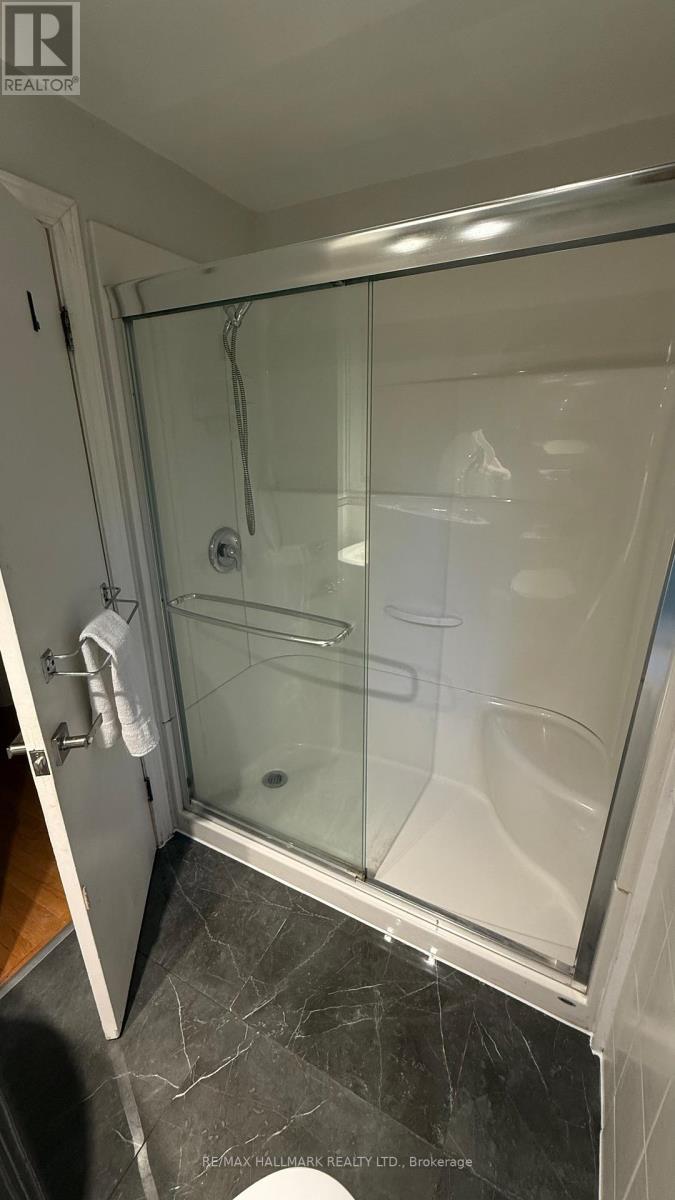 187 Mill Street, Richmond Hill, Ontario  L4C 4B1 - Photo 12 - N12612832