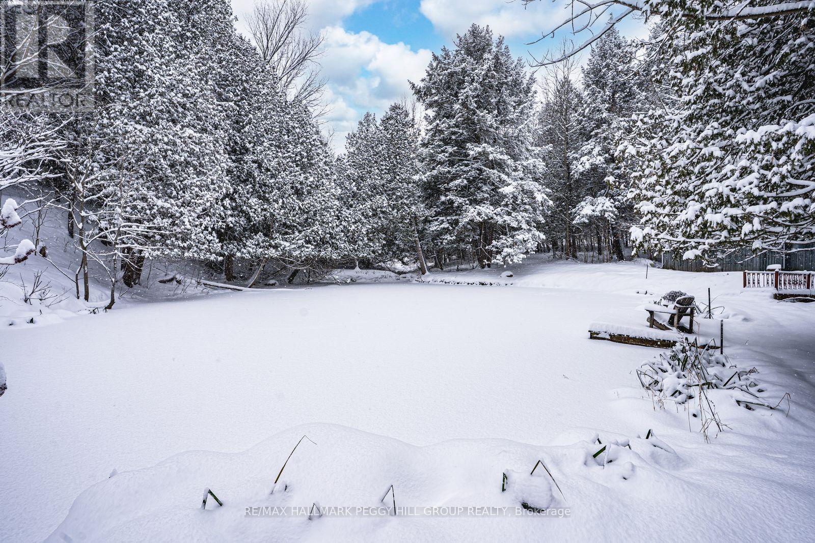 8275 County Road 9, Clearview, Ontario  L0M 1G0 - Photo 12 - S12612816