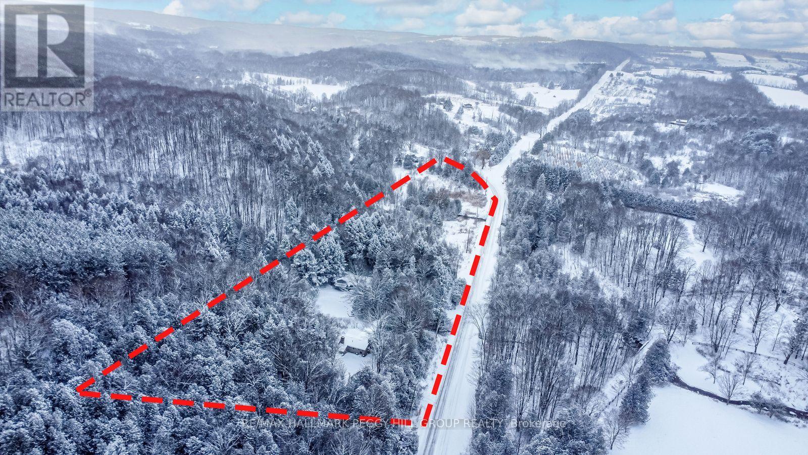 8275 County Road 9, Clearview, Ontario  L0M 1G0 - Photo 2 - S12612816