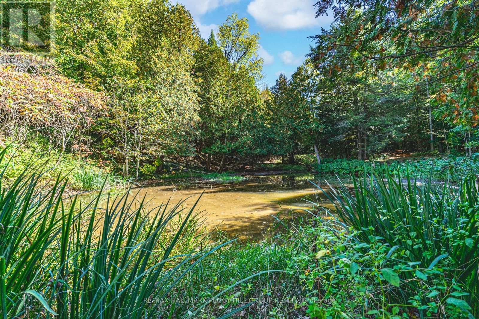 8275 County Road 9, Clearview, Ontario  L0M 1G0 - Photo 22 - S12612816