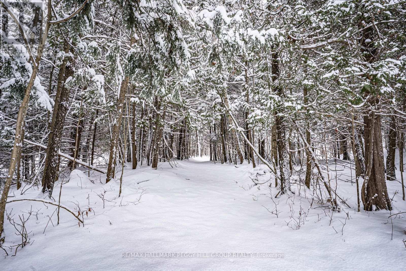 8275 County Road 9, Clearview, Ontario  L0M 1G0 - Photo 26 - S12612816