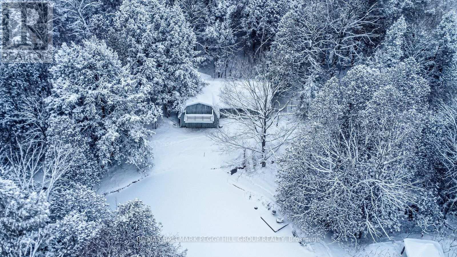 8275 County Road 9, Clearview, Ontario  L0M 1G0 - Photo 27 - S12612816