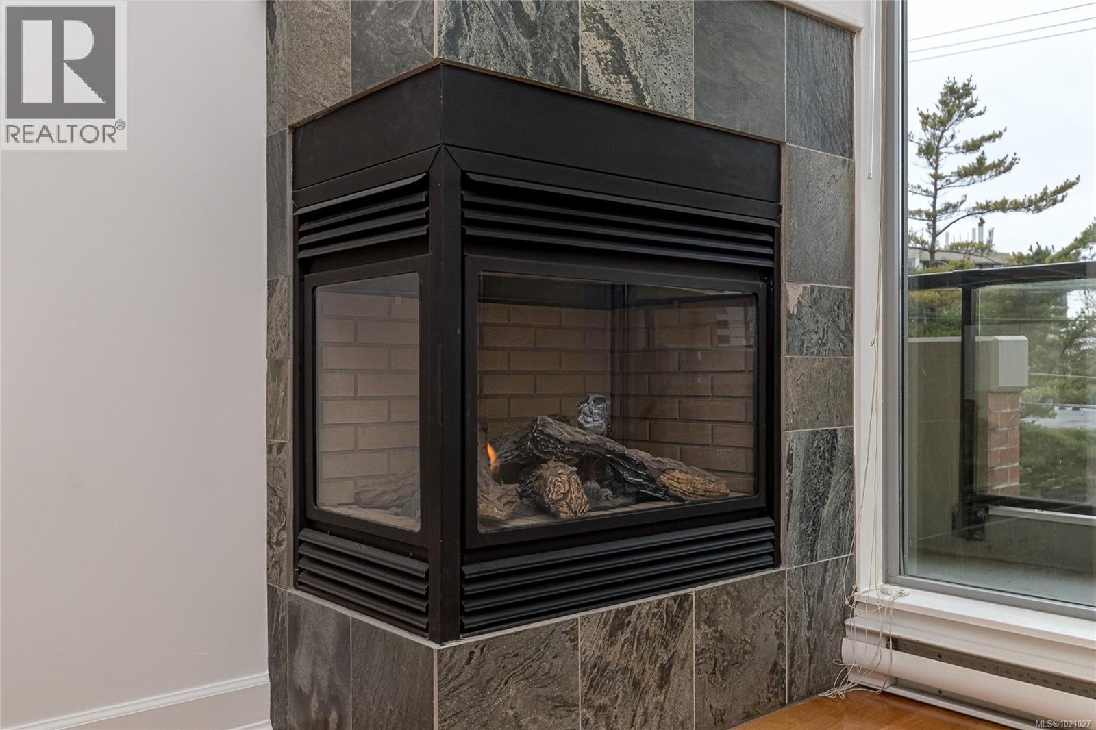 307 225 Menzies St, Victoria, British Columbia V8V 2G6 - Photo 4 - 1021027