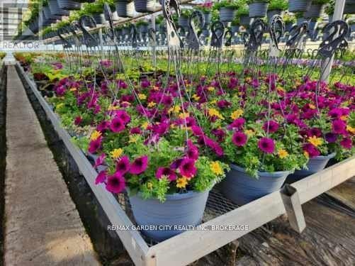 228-234 Read Road, St. Catharines, Ontario L2R 7K6 - Photo 10 - X12612884