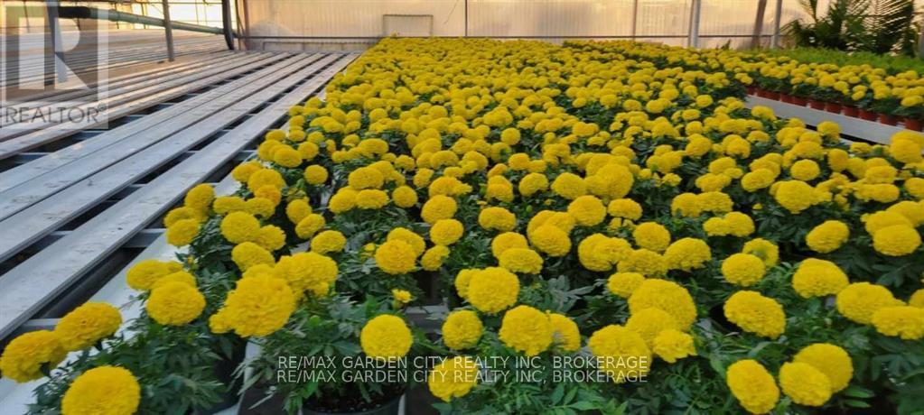 228-234 Read Road, St. Catharines, Ontario L2R 7K6 - Photo 11 - X12612884