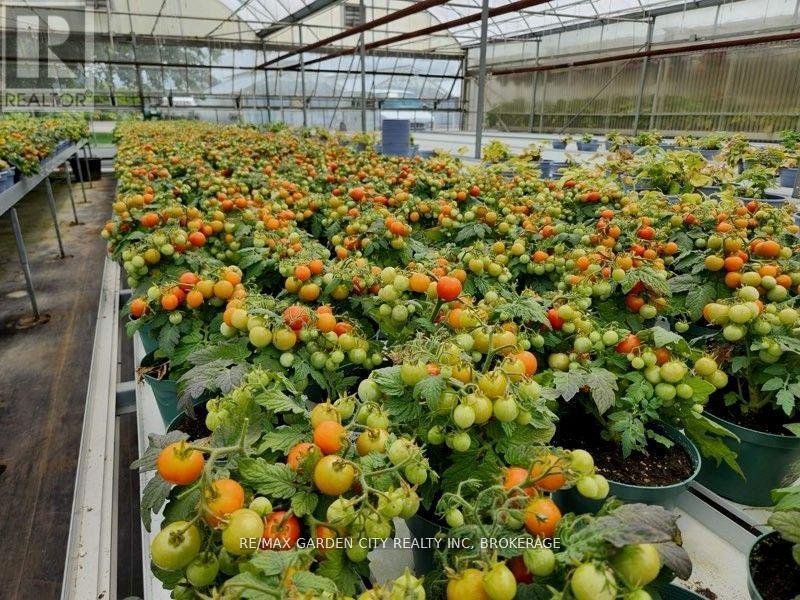 228-234 Read Road, St. Catharines, Ontario L2R 7K6 - Photo 8 - X12612884