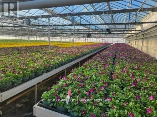 228-234 Read Road, St. Catharines, Ontario L2R 7K6 - Photo 9 - X12612884