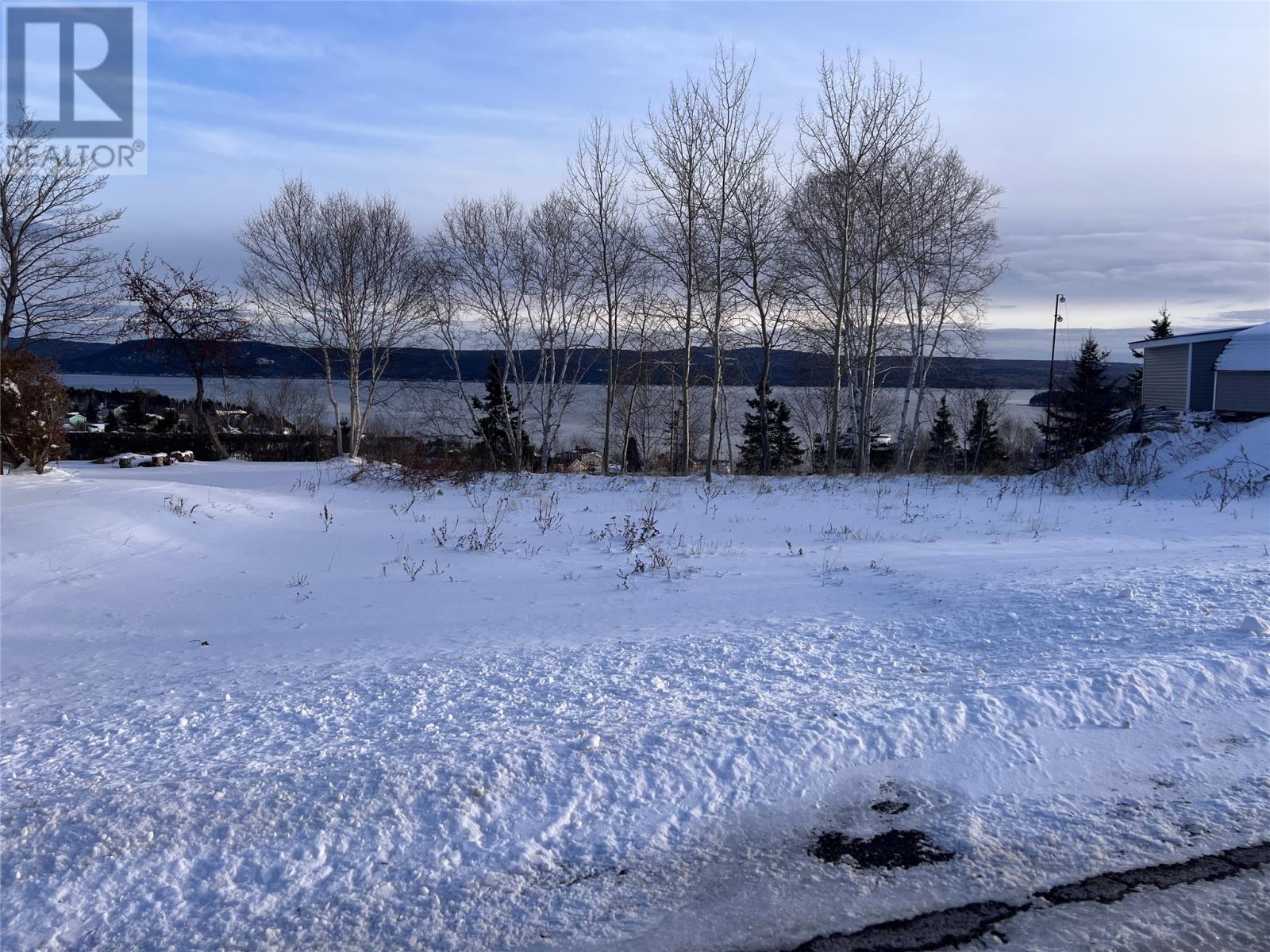 36 Maple Street, Springdale, Newfoundland & Labrador  A0J 1T0 - Photo 1 - 1293178