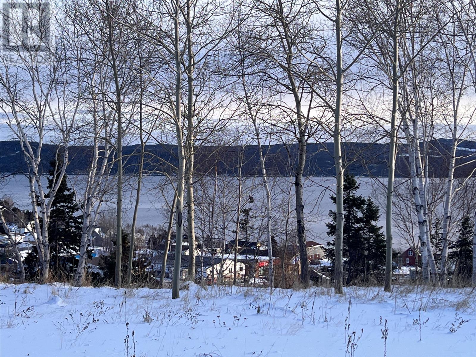 36 Maple Street, Springdale, Newfoundland & Labrador  A0J 1T0 - Photo 4 - 1293178