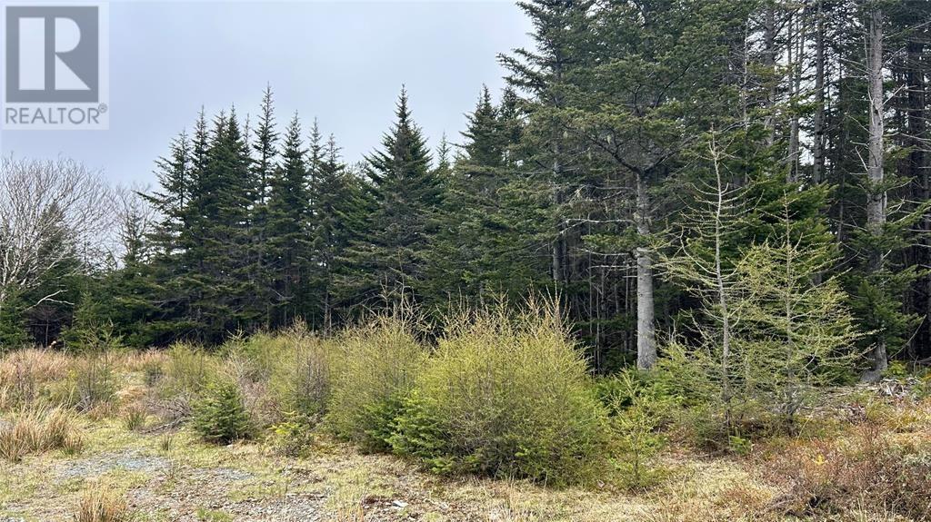 0 Strayaway Road, Blaketown, Newfoundland & Labrador  A0B 1C0 - Photo 1 - 1293200