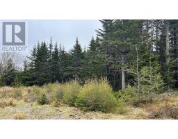 0 Strayaway Road, Blaketown, Newfoundland & Labrador