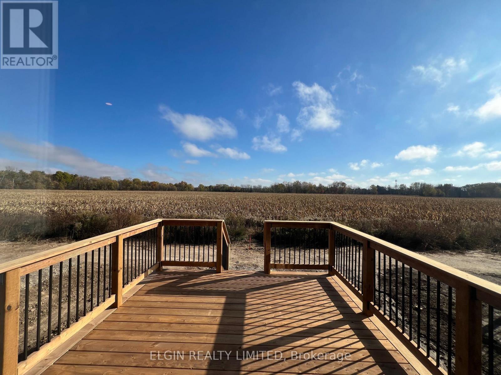 73 Braun Avenue, Tillsonburg, Ontario  N4G 0K4 - Photo 13 - X12613080