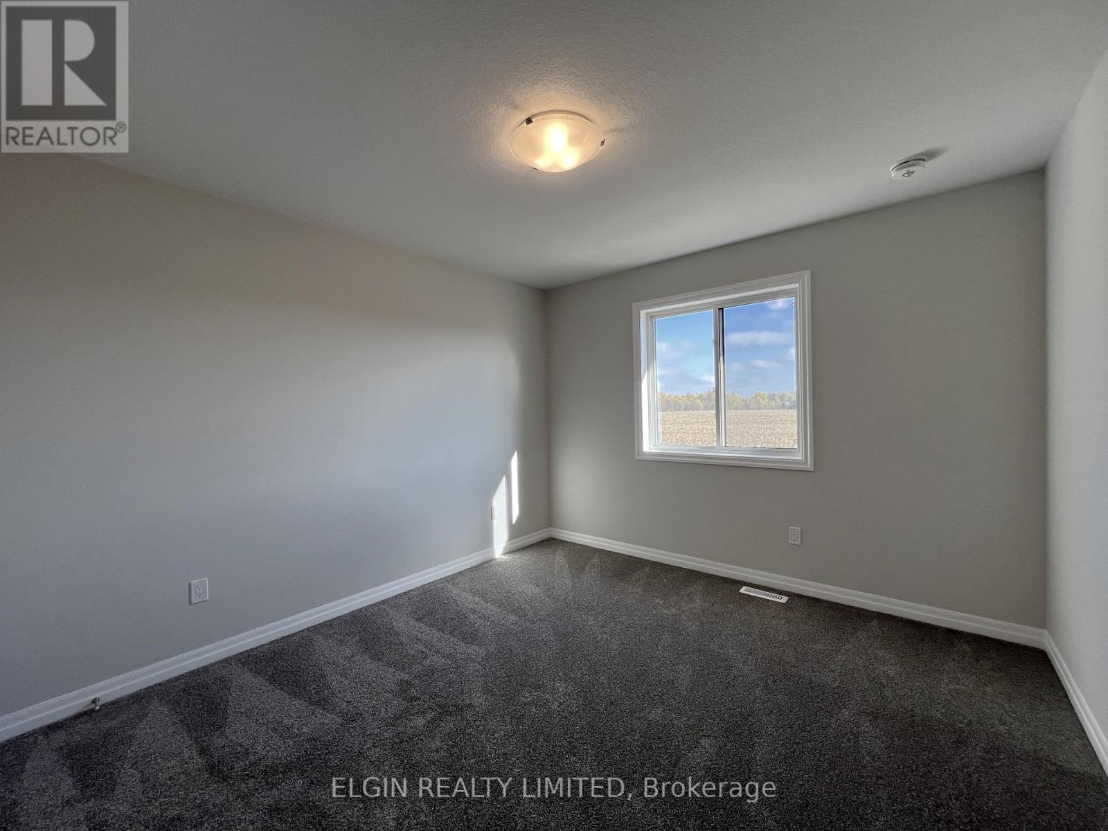 73 Braun Avenue, Tillsonburg, Ontario  N4G 0K4 - Photo 21 - X12613080