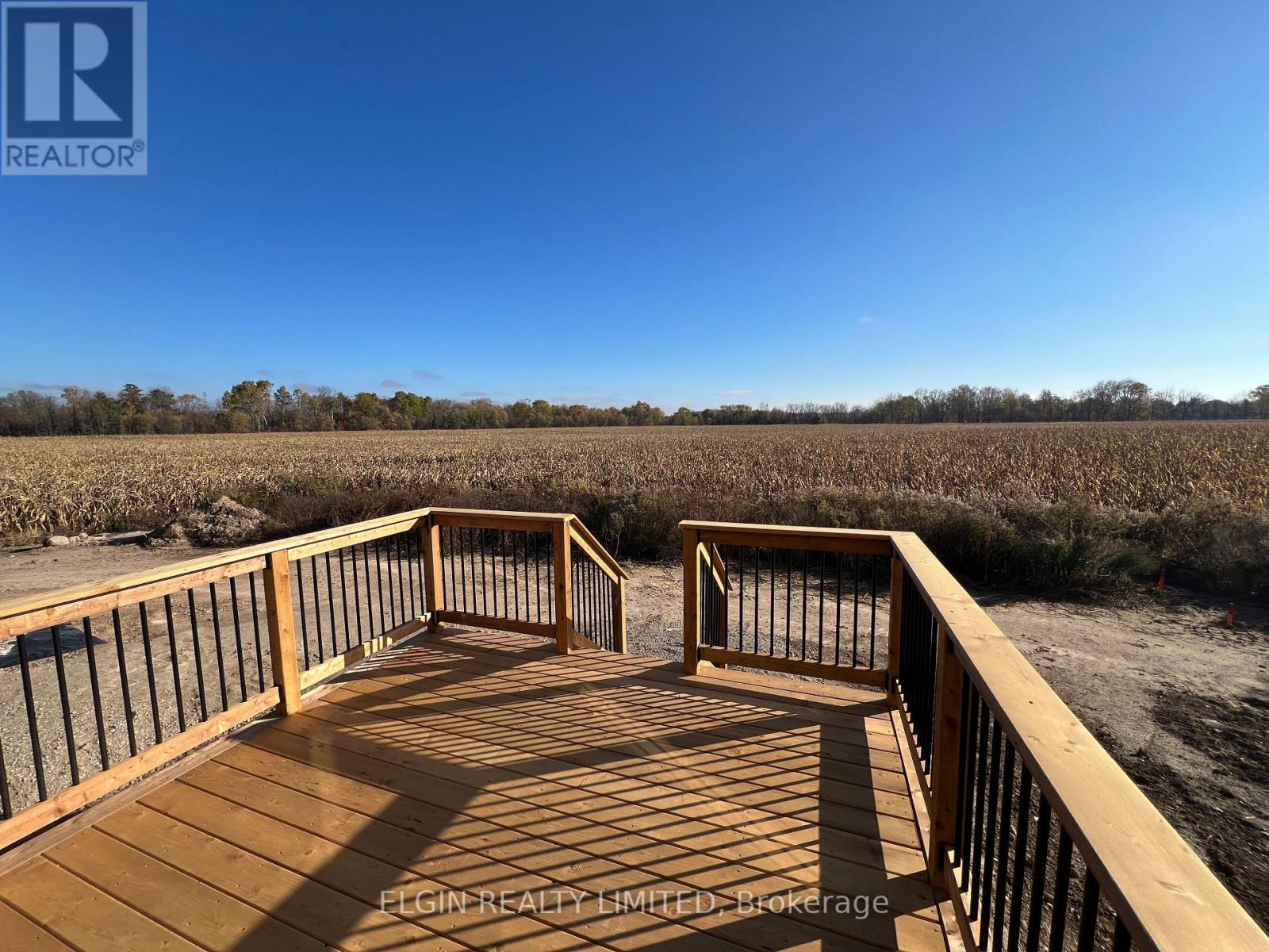 75 Braun Avenue, Tillsonburg, Ontario  N4G 0K4 - Photo 3 - X12613084