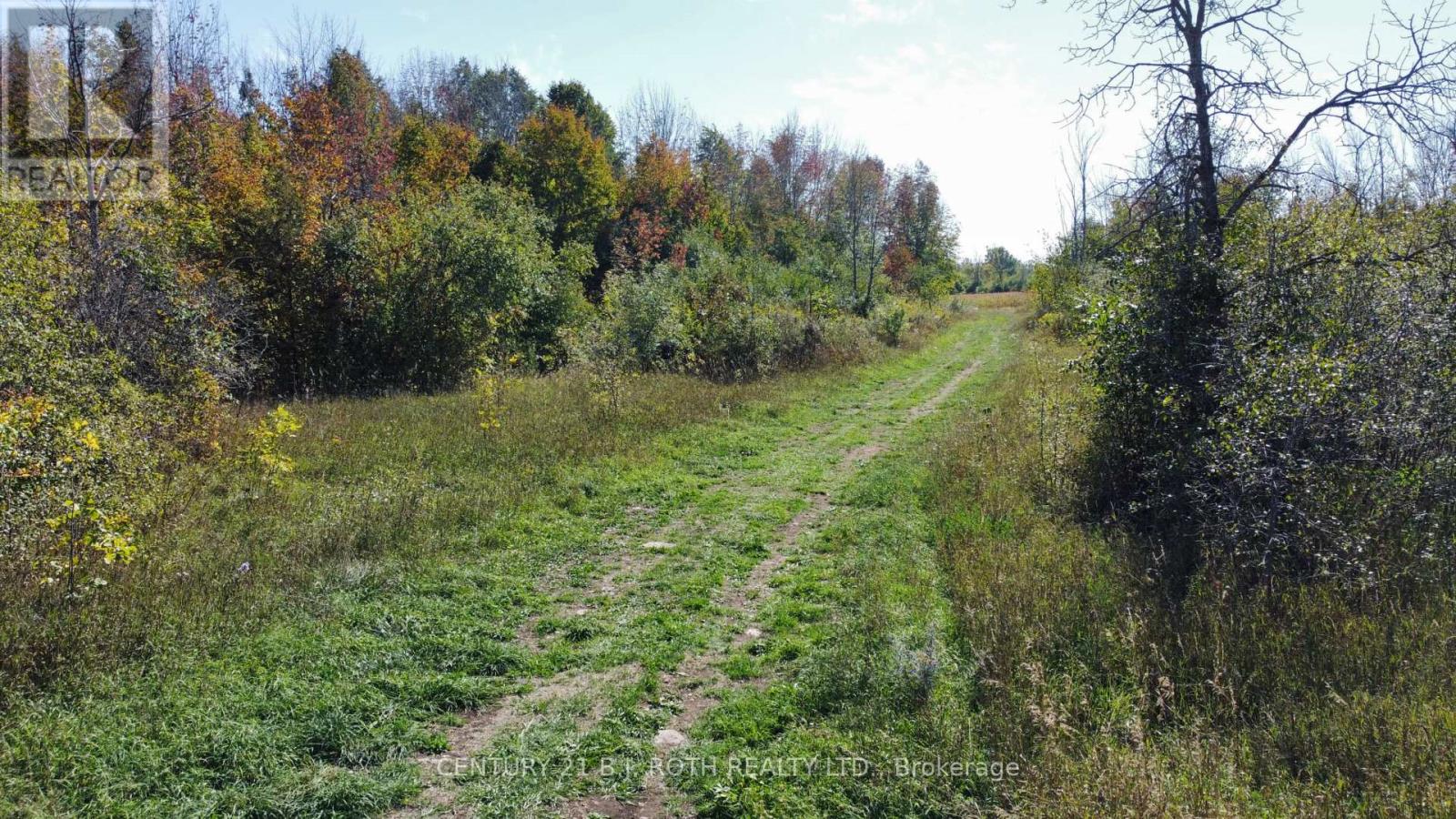 1273 Ramara Rd 47 Road, Ramara, Ontario  L0K 1B0 - Photo 8 - S12613034