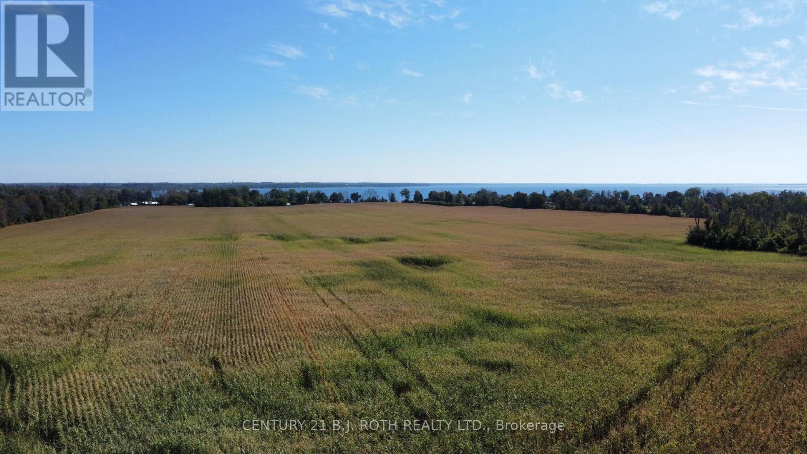 1273 Ramara Rd 47 Road, Ramara, Ontario  L0K 1B0 - Photo 9 - S12613034