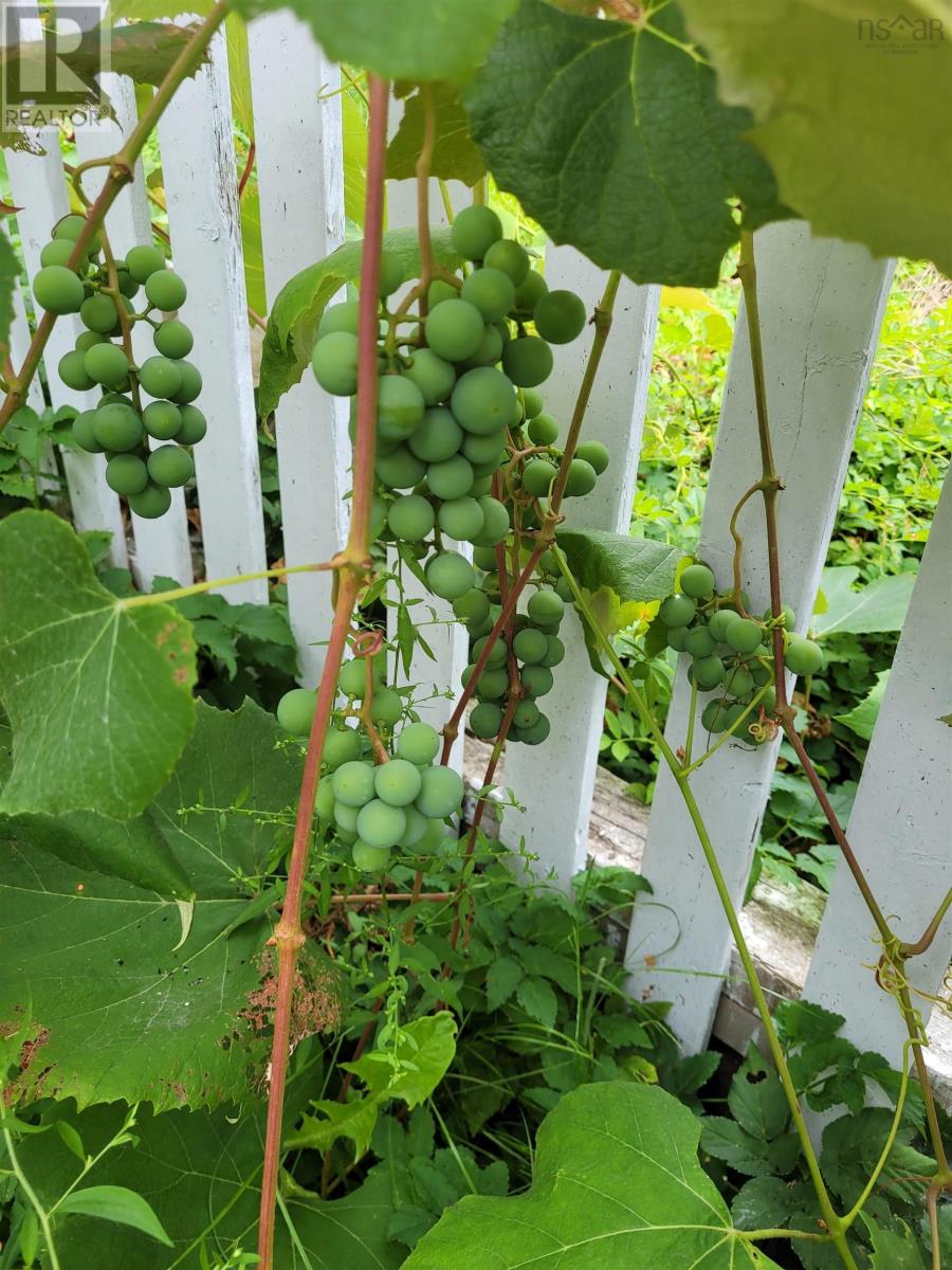 52 Regal Road, Dartmouth, Nova Scotia  B2W 4H6 - Photo 26 - 202528928