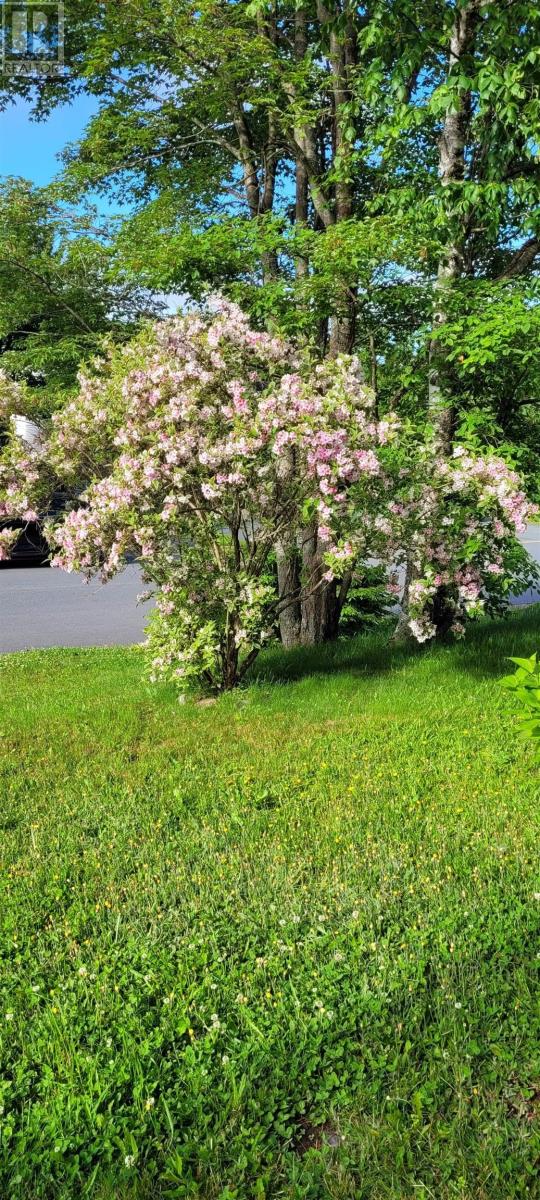 52 Regal Road, Dartmouth, Nova Scotia  B2W 4H6 - Photo 31 - 202528928