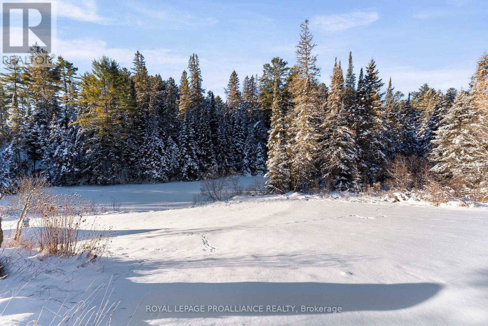 169 Burlanyett Road, Hastings Highlands, Ontario  K0L 2R0 - Photo 22 - X12613224