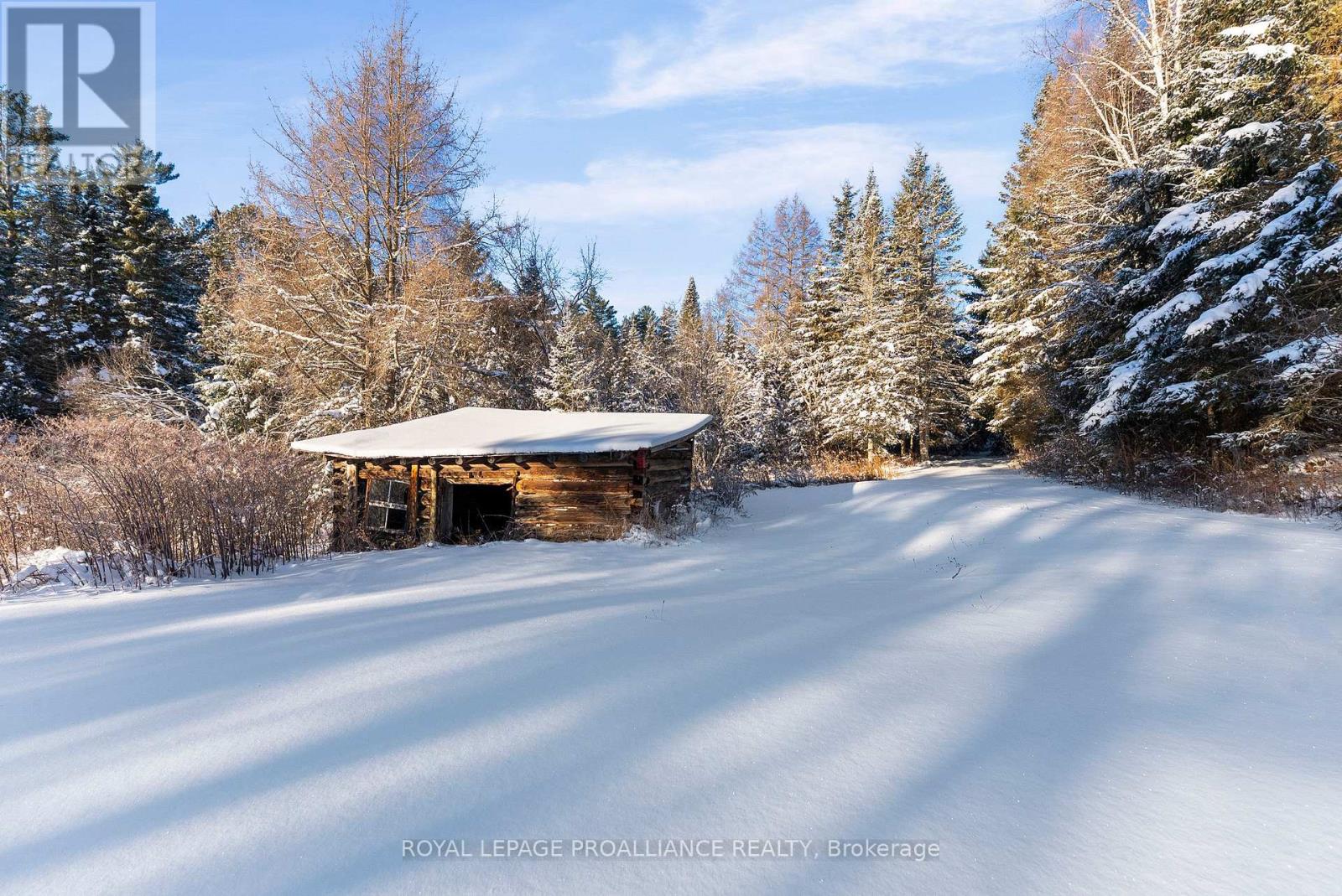 169 Burlanyett Road, Hastings Highlands, Ontario  K0L 2R0 - Photo 23 - X12613224