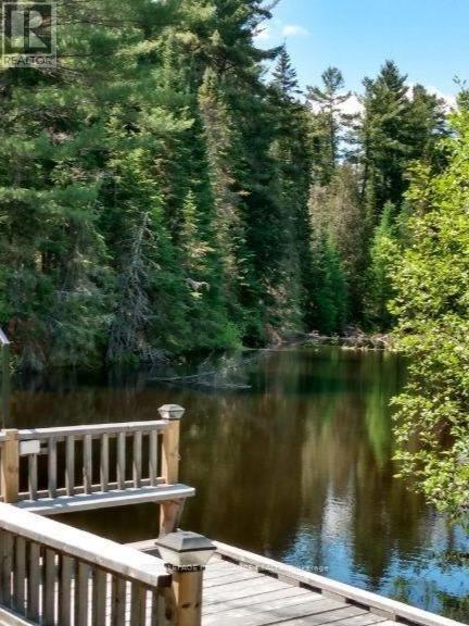 169 Burlanyett Road, Hastings Highlands, Ontario  K0L 2R0 - Photo 6 - X12613224