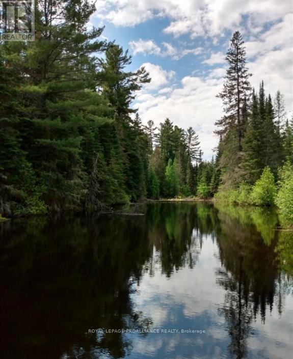 169 Burlanyett Road, Hastings Highlands, Ontario  K0L 2R0 - Photo 7 - X12613224