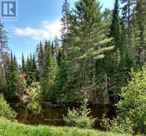 169 Burlanyett Road, Hastings Highlands, Ontario  K0L 2R0 - Photo 8 - X12613224