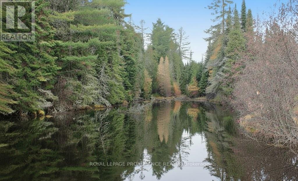 169 Burlanyett Road, Hastings Highlands, Ontario  K0L 2R0 - Photo 9 - X12613224