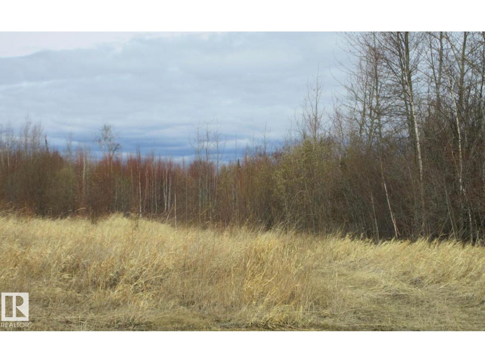 14 Southshore Estates Dr, Widewater, Alberta T0G 2M0 - Photo 2 - E4467779