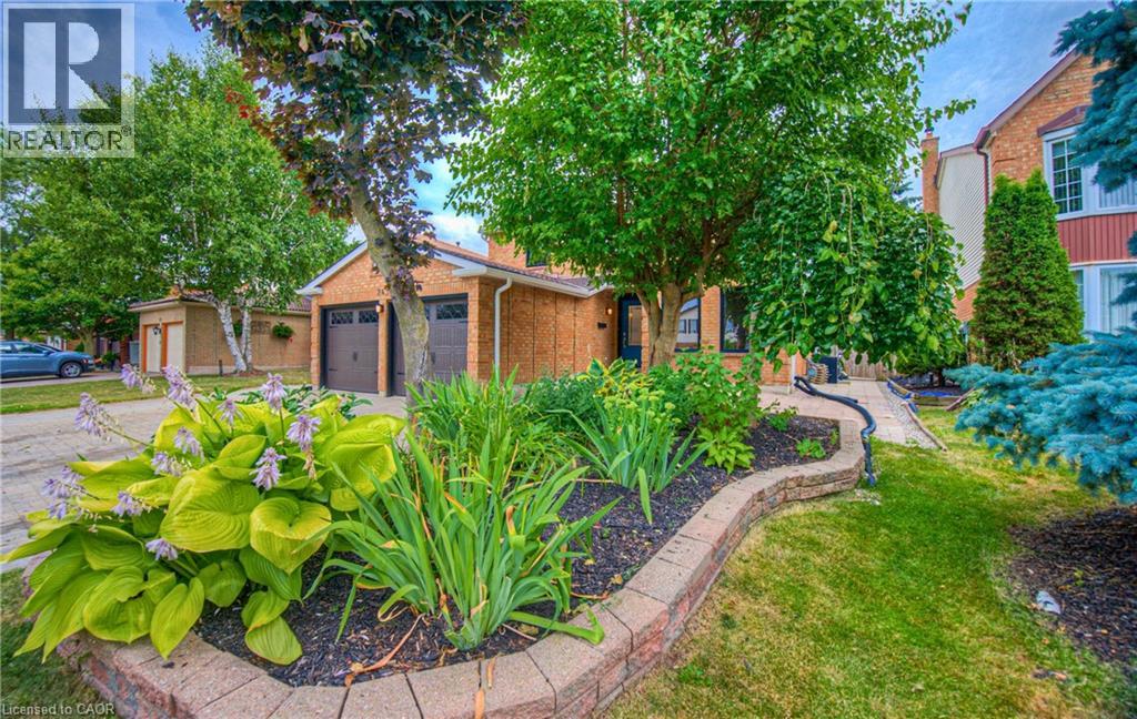 243 Highview Drive, Kitchener, Ontario  N2N 2K6 - Photo 4 - 40793104